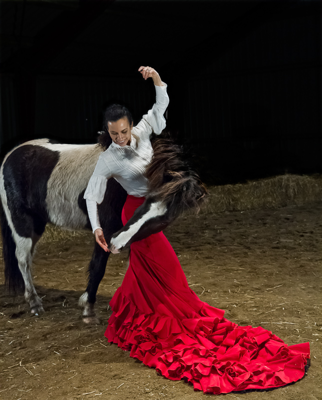 2.`Rødt`: Flamenco med Erica af Tommy Bay